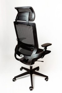Spinergo Optimal